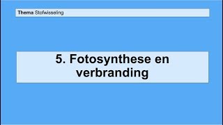 Basisstof 5 Fotosynthese en verbranding [upl. by Anahsar]