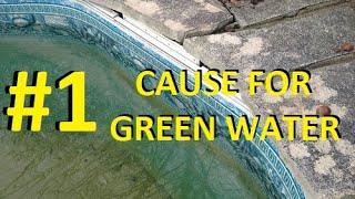 The Most Common Cause For Green Pool Water [upl. by Quiteris]