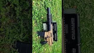 Sig Rattler Canebrake Pistol300 Blackout What you all think SBR or Pistol brace [upl. by Nylra]