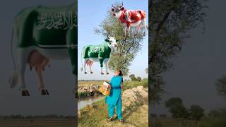 Bakra Laray 😂😀ll funny trending viral islamic shorts [upl. by Dorrahs772]