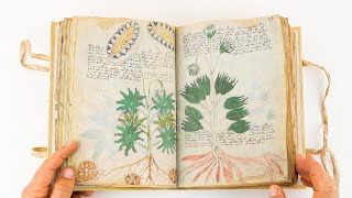 Voynich Manuscript Full version  ASMR  Facsimile Editions and Medieval Illuminated Manuscripts [upl. by Akeyla]