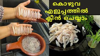 കൊഴുവ എളുപ്പത്തിൽ ക്ലീൻ ചെയ്യാം How to clean Natholi or Kozhuva [upl. by Nettle]