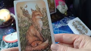 🌕Úplněk 27 11 2023  pro jednotlivá znamení🌕Co Vám přinese🍀 Výklad karet 💜tarot predictions [upl. by Adeehsar]