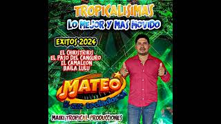 MIX TROPICALISIMAS 2024 quotEL CHIKISTRIKISquot  MATEO Y SUS TECLADOS LO MEJOR PARA BAILAR OCTUBRE [upl. by Connolly454]