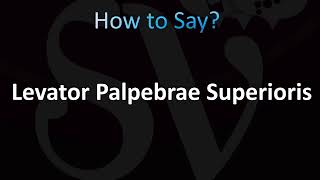 How to Pronounce Levator Palpebrae Superioris Muscle CORRECTLY [upl. by Berg]