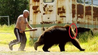 80 year old Russian Man Fights Bear [upl. by Moskow]