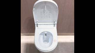 Intelligent Wall Hung Smart Toilet Intelligent Rimless Wall Hung ToiletA MasterpeiAuto Opening [upl. by Analad]