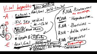 Viral Hepatitis Made Simple [upl. by Rakabuba292]