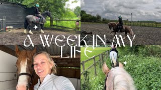 A WEEK IN MY LIFE WITH ALL 3 HORSES  HORSE VLOG [upl. by Neve]