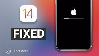 iOS 14 iPhone Stuck on Loading Bar How to Fix it [upl. by Sussman]