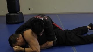 Grappling vs Wrestling  Martial Arts Lessons [upl. by Selrhc]