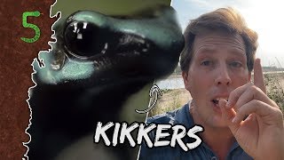 Freeks 5  Deze dieren zijn ouder dan dino’s [upl. by Larkin]