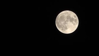 Lua Azul Brilha no Céu de Buenos Aires na Noite de Halloween ao Vivo [upl. by Umeh428]