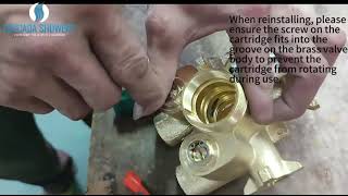 How to Remove Thermostatic Cartridge  Cascada Showers DIY Guide [upl. by Jamnes]