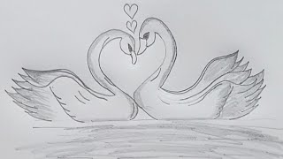 How to draw a cute Swanseasy Swans drawing step by step [upl. by Lleddaw591]