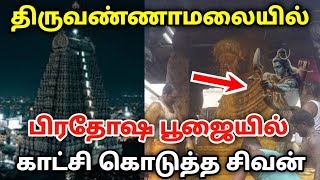 திருவண்ணாமலையில் பிரதோஷ பூஜைகள் காட்சி கொடுத்த சிவன் வெளியான வீடியோ [upl. by Atinad834]