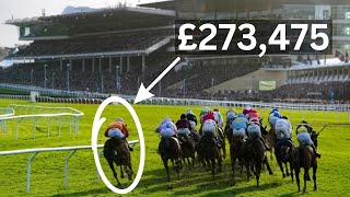 7 Cheltenham Festival Gambles That Beat the Bookies [upl. by Farris]