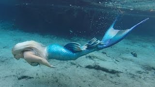 Bills Amazing Swim With A Mermaid [upl. by Trubow]