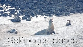 Galápagos Islands 2014  Teaser Trailer [upl. by Ravert]