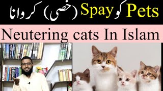 Pets ko spay karwanaSpaying cats in Islamcats ko spay karwana jaiz hay [upl. by Cadmann]