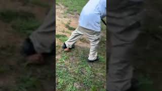 Cutting dirt like a pro with a lawnmower🤣🤣🤣🤣 cuttingseason stump cleancuts nomachine endpin [upl. by Eelta]