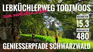 Wir wandern den  Lebküchlerweg in Todtmoos  Schwarzwald Genießerpfade  153 Km  480 Hm [upl. by England]