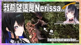 【Shiori Novella 】Nerissa加入通話 Shiori表示 每次看到鳥都希望是妳 Biboo 然後我們就宰了牠wwww 【Hololive EN】 [upl. by Eahsal]