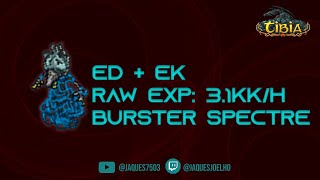 Duo ED  EK 160  Burster Spectre 31kk exph 100 [upl. by Arther]