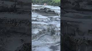 Archeological Cave formation at the base of the sea cliff foundations seacliff bridges ocean [upl. by Alayne576]