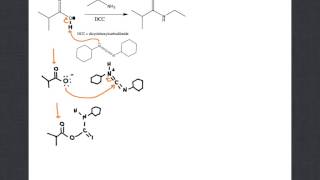 mechanism of amide formation with DCC [upl. by Sidky247]