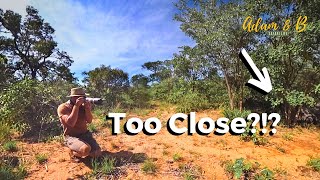 Testing the limits with white rhinos Matobo National Park Zimbabwe  SafariLife S1E29 [upl. by Fern]