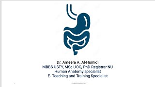 anatomical based defect of duodenal ulcer and paralytic ileus [upl. by Sachs539]