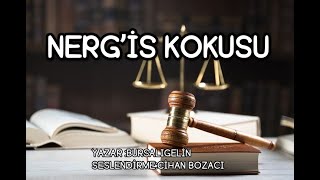 NERGİS KOKUSU 11BÖLÜM amp SESLİ KİTAP amp BURSALI GELİN [upl. by Anaerb]