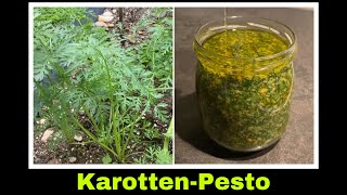 Karottenkraut Pesto  Karottengrün Rezept  Karottenpesto  Selbstversorgung Karotten [upl. by Htial]