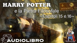 Harry Potter e la pietra filosofale  Audiolibro  Lettura e commento Cap 15  16 [upl. by Nosa]