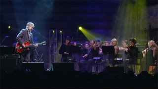 Neil Finn  One Step Ahead live with strings Auckland 2015 [upl. by Aleksandr]