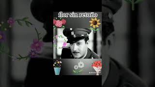 Pedro infante y la rondalla venezolana flor sin retoño [upl. by Carl]