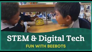 STEM amp Digital Technology  Fun with Beebots [upl. by Cooley]