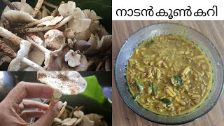 നാടൻ രീതിയിൽ കൂൺ കറി  Kerala Style Mushroom Curry Recipe  Nadan koon curry Easy Mushroom Masala [upl. by Aidnyl]