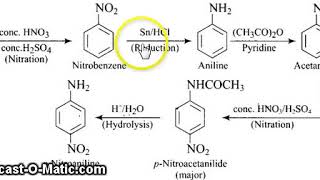 Benzene to p nitroaniline [upl. by Hartmunn]