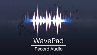 How to Record Audio  WavePad Audio Editor Tutorial [upl. by Aivlys]