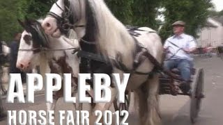 Gypsy Cob amp Vanner Horses  Appleby Horse Fair 2012 [upl. by Atal]