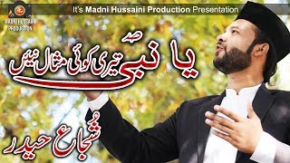 New Naat 2018 RabiulAwal Special  Shujjah Haider  Madni Hussaini Production [upl. by Annaul782]