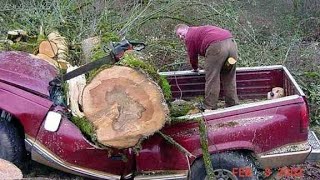 Extreme Dangerous Idiots Tree Cutting Fails With Chainsaw  Big Tree Falling On Car Pathetic [upl. by Shalna]