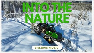 Calming music in the Norwegian woods  Winter work [upl. by Harrington892]