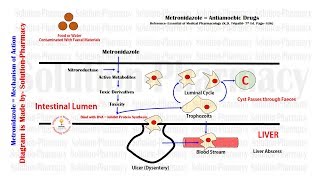 Antiamoebic Drugs  Metronidazole Mechanism of Action  Antiamoebic Drugs  Metronidazole Drug [upl. by Nurat767]