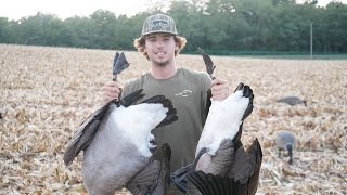 Banger early season goose hunt banded honkers [upl. by Itsrejk260]