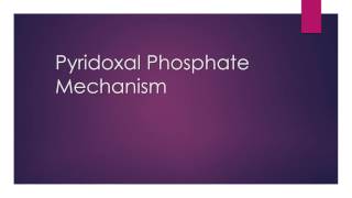 Pyridoxal Phosphate PLP Mechanism Explained [upl. by Aihtnyc]