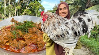 MASAK AYAM HASIL BELA SENDIRI  RENDANG SPECIAL [upl. by Weylin]