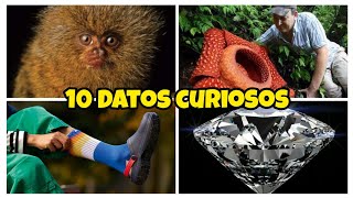 10 Datos Curiosos que NO CONOCÍAS 3 [upl. by Llednar229]